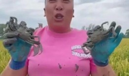 东北雨姐爆料是谁啊视频,视频背后的人物真相