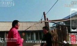 风水大师爆料视频大全集,视频大全集精华概述