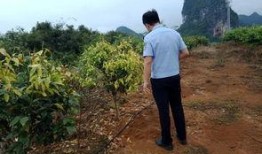 中源果农最新爆料,揭秘水果产业的秘密与挑战